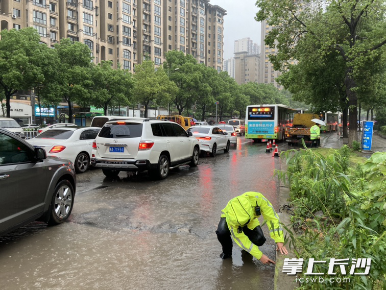 欧阳诚带领中队警力在现场一边疏导交通，一边弯下腰用手清理下水口淤积物，徒手疏通被堵住的排水口。