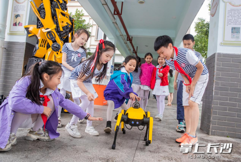 大黄蜂、电子狗,都成了最吸引孩子们的科技产品。 均为学校供图 大黄蜂、电子狗,都成了最吸引孩子们的科技产品。 均为学校供图