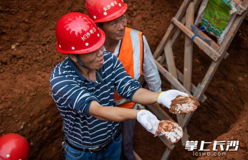 考古工作人员现场发掘出的葵口碗。长沙晚报全媒体记者 邹麟 摄