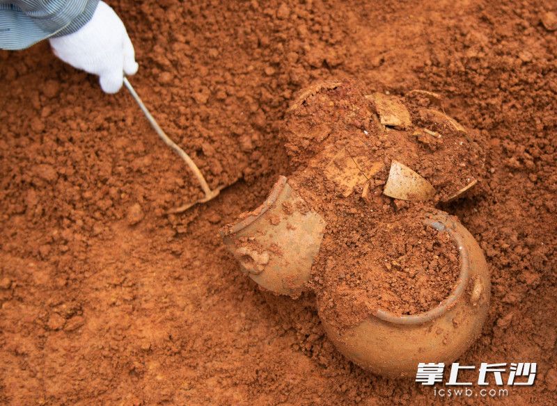考古工作人员正在进行考古发掘。照片均为长沙晚报全媒体记者 邹麟 摄