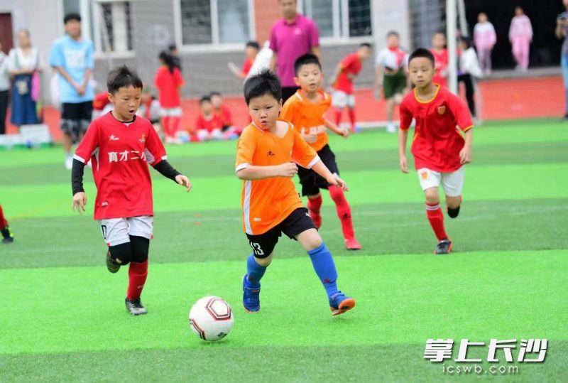 奔跑中，奋斗着。均为学校供图