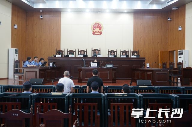 庭审现场。宁乡法院供图