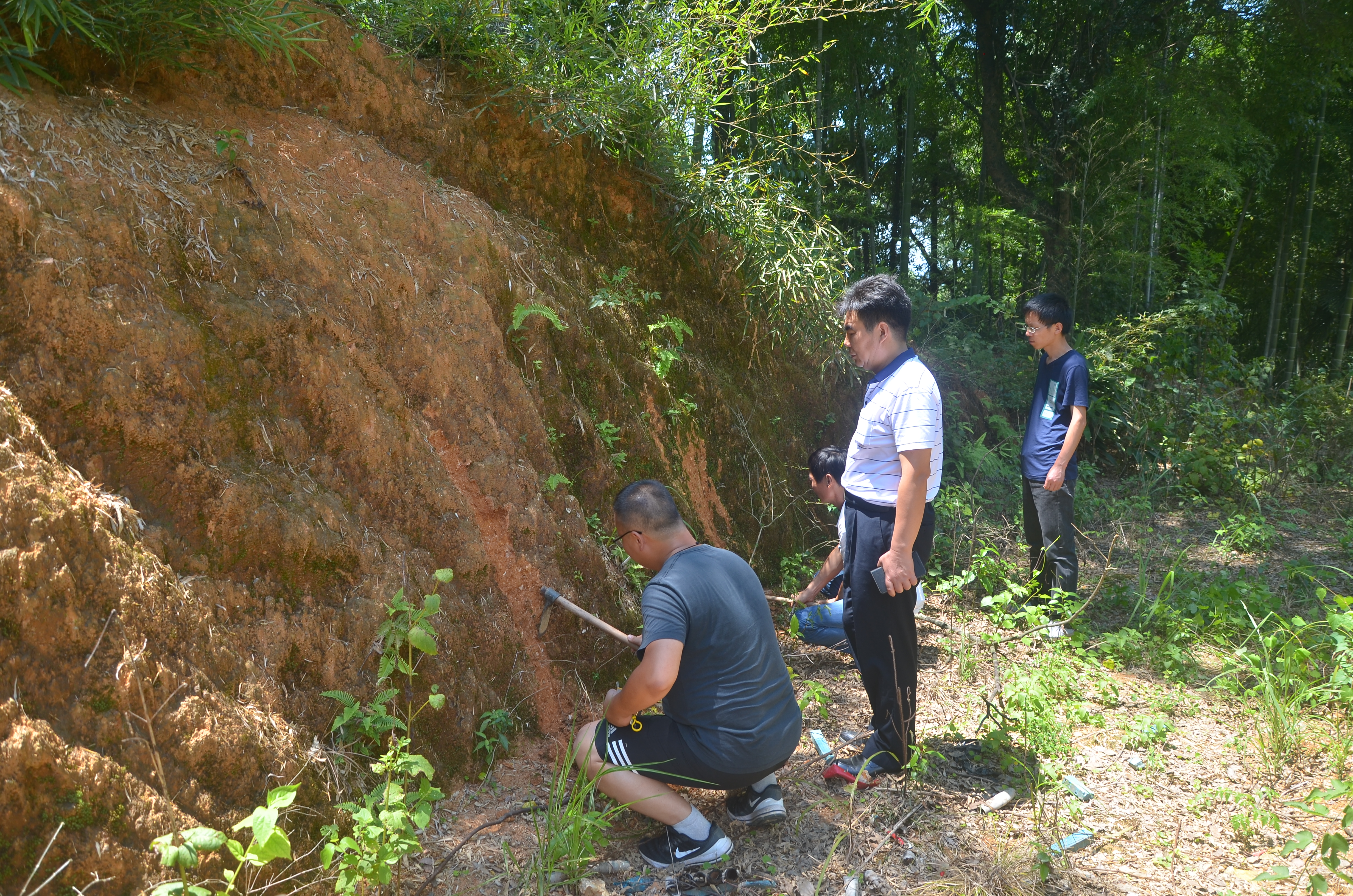 均为长沙市文物考古研究所供图