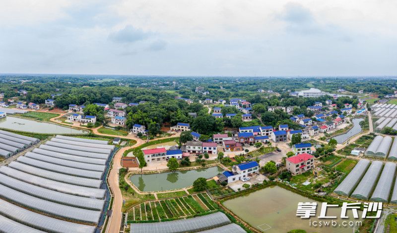 焕然一新的思源屋场即将完工。长沙晚报全媒体记者 陈飞 摄