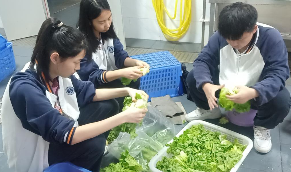 同学们在食堂体验摘菜。