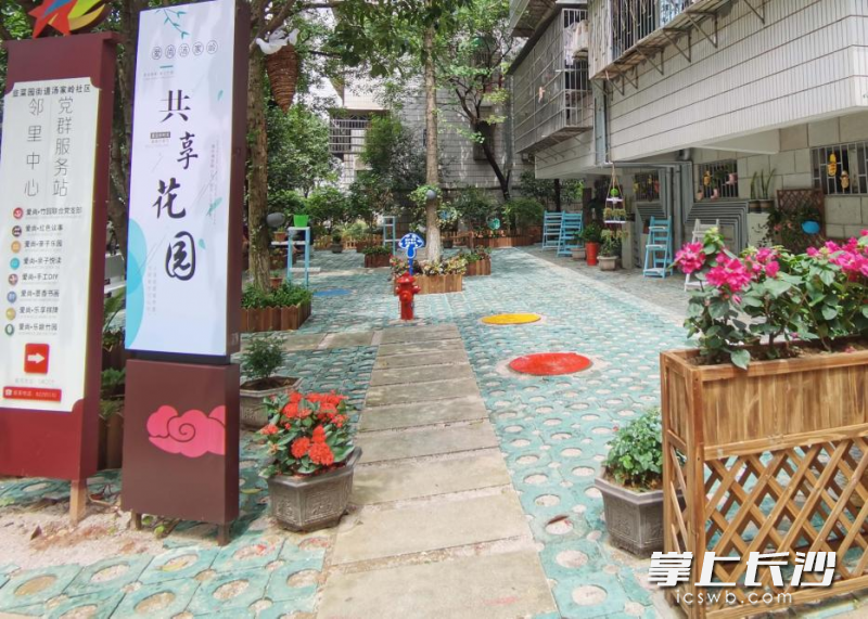 昔日林荫下的秃头杂草和落叶不见了，取而代之的是赏心悦目的共享花园。全媒体记者 颜家文 通讯员 胡美俐摄