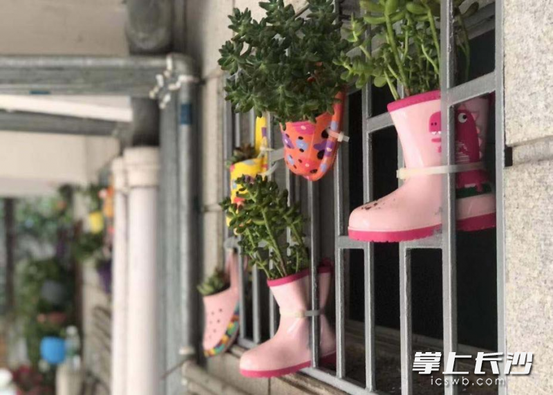 小区居民的创意和“众筹”将共享花园装扮得创意而温馨。全媒体记者 颜家文 通讯员 胡美俐摄