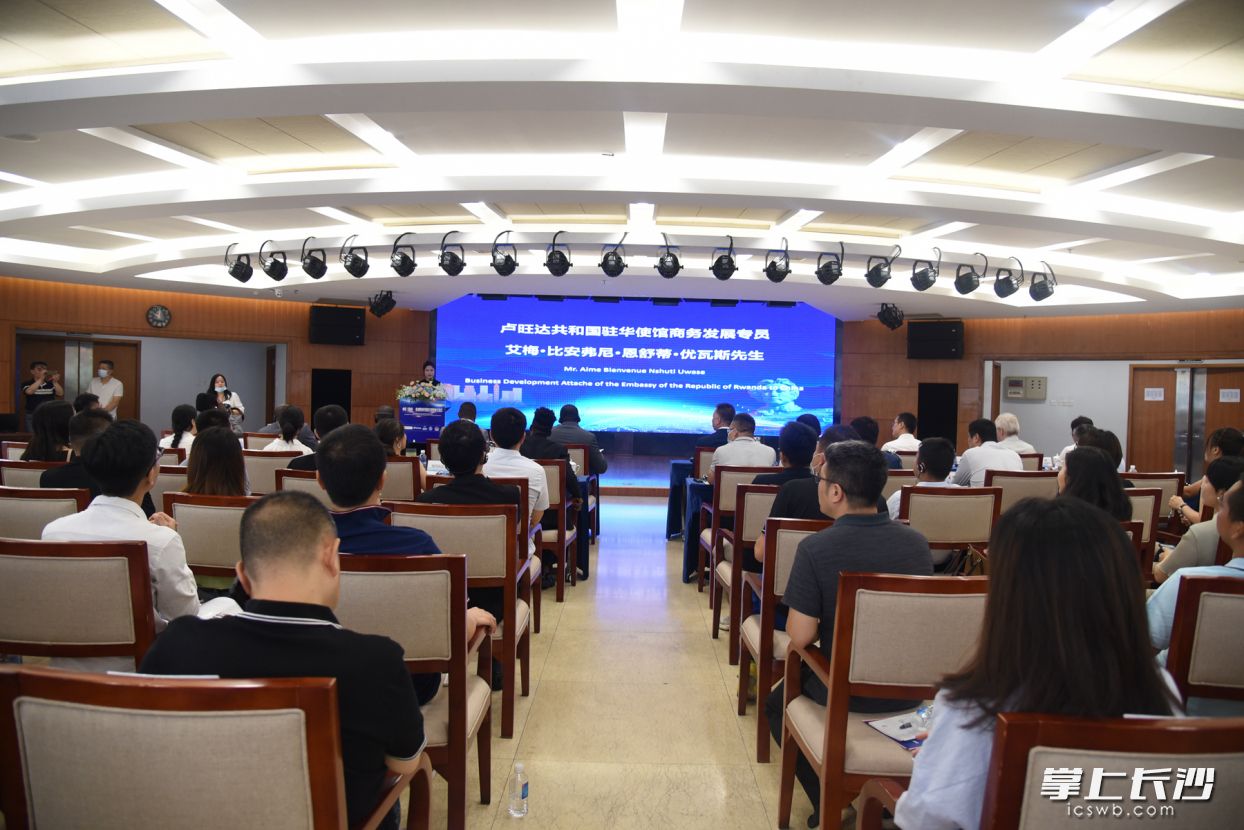 推介交流会现场。长沙晚报通讯员 曾琪 供图