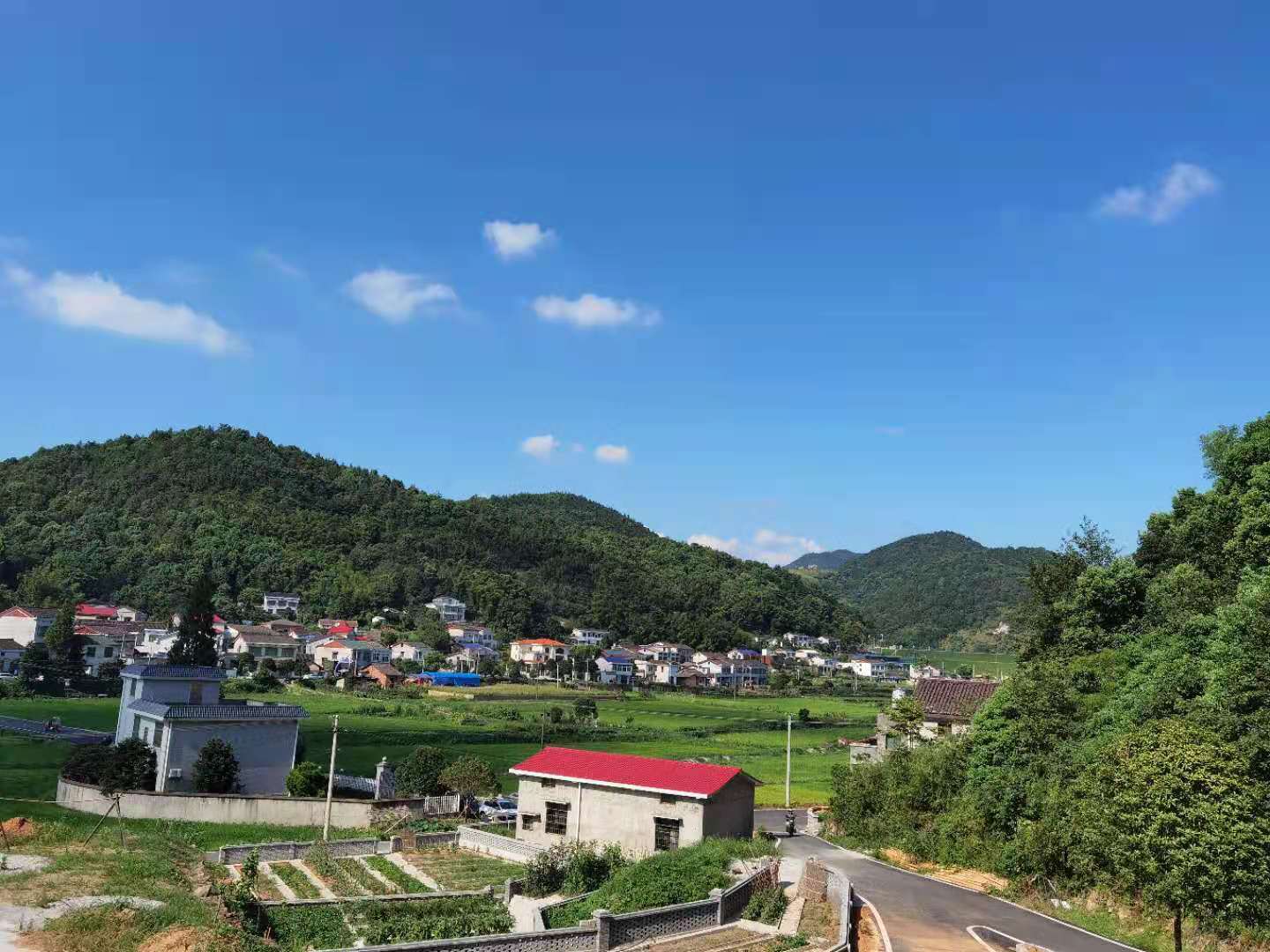 位于水库下方的窑冲湾屋场具有得天独厚的优势。