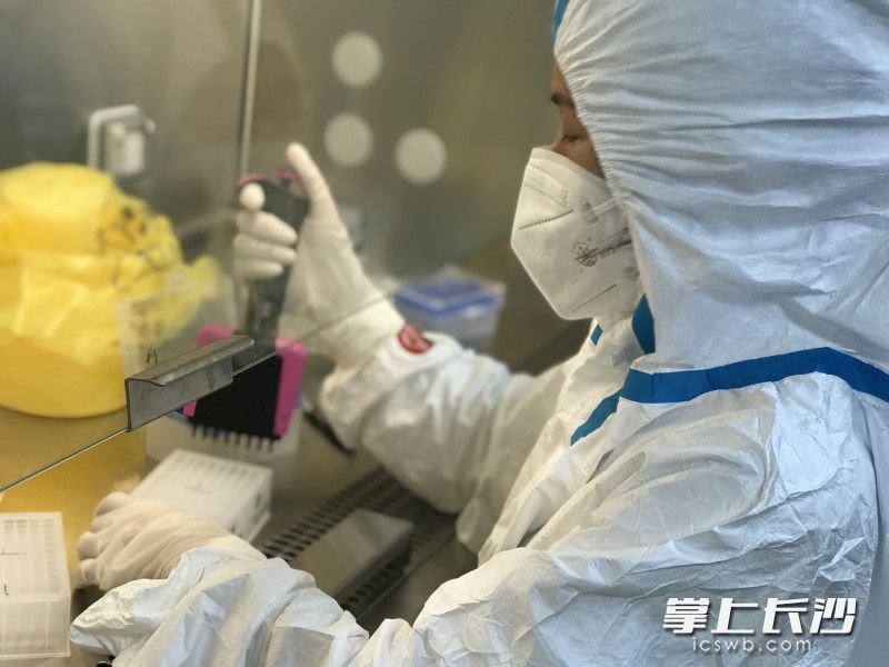 核酸检测人员正在紧张有序地忙碌着。中南大学湘雅三医院供图