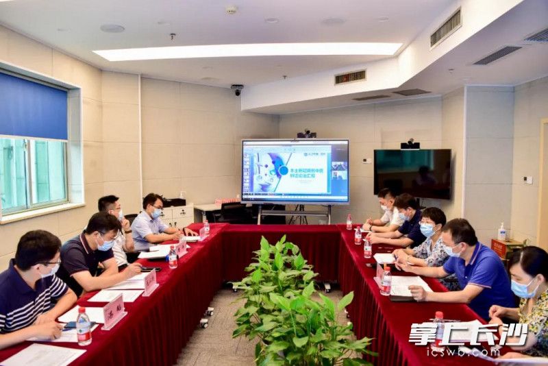 与会专家在讨论《长沙市新冠肺炎中医药诊疗专家共识》的方案。由医院供图