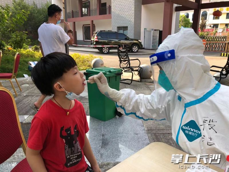 妻子段洁正在进行核酸采集工作。