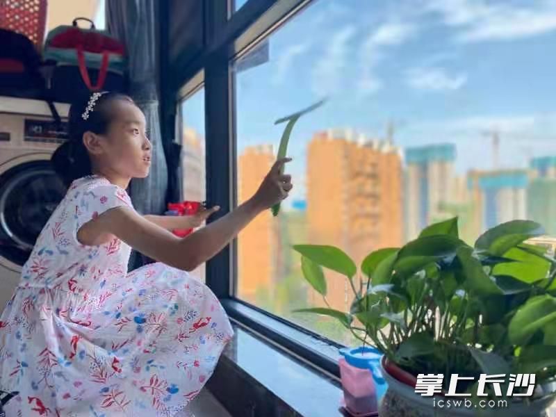 力所能及的劳动是每天的“必修课”。