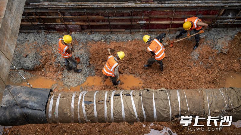 在京港澳东辅道雨污水管涵下游接入西龙路段排水工程施工现场，工人头顶一根60厘米直径燃气管道，手持锄头、铁锹，在5米多深的基坑内挖土。均为长沙晚报全媒体记者 郭雨滴 摄影报道