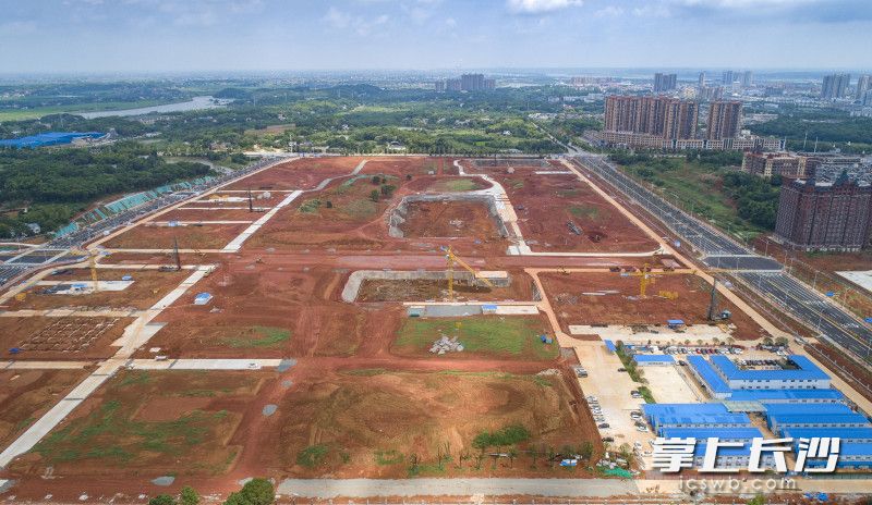 湖南信息职业技术学院新校区建设项目正式进入主体施工阶段，预计今年底完成主体施工。长沙晚报全媒体记者 郭雨滴 摄
