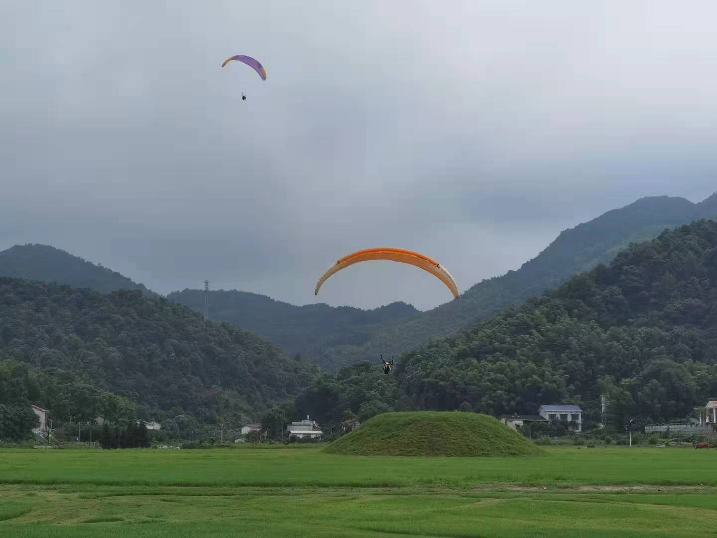 恢复开放的黑麋峰，成为很多城市亲子家庭短途游的第一选择。