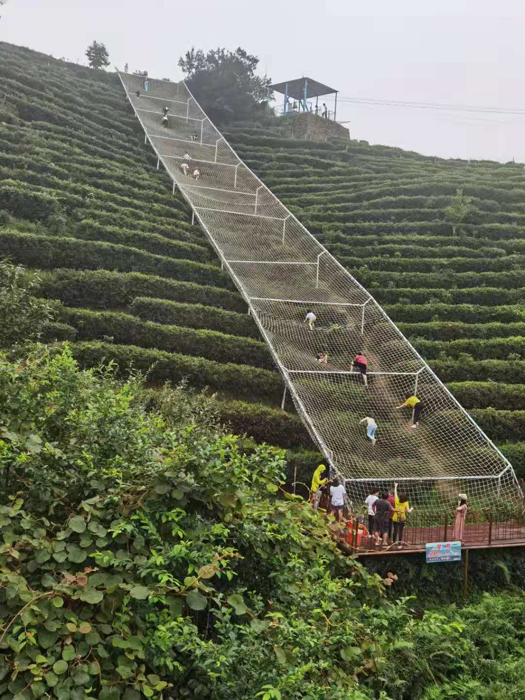 星空茶园内，孩子们在攀爬。