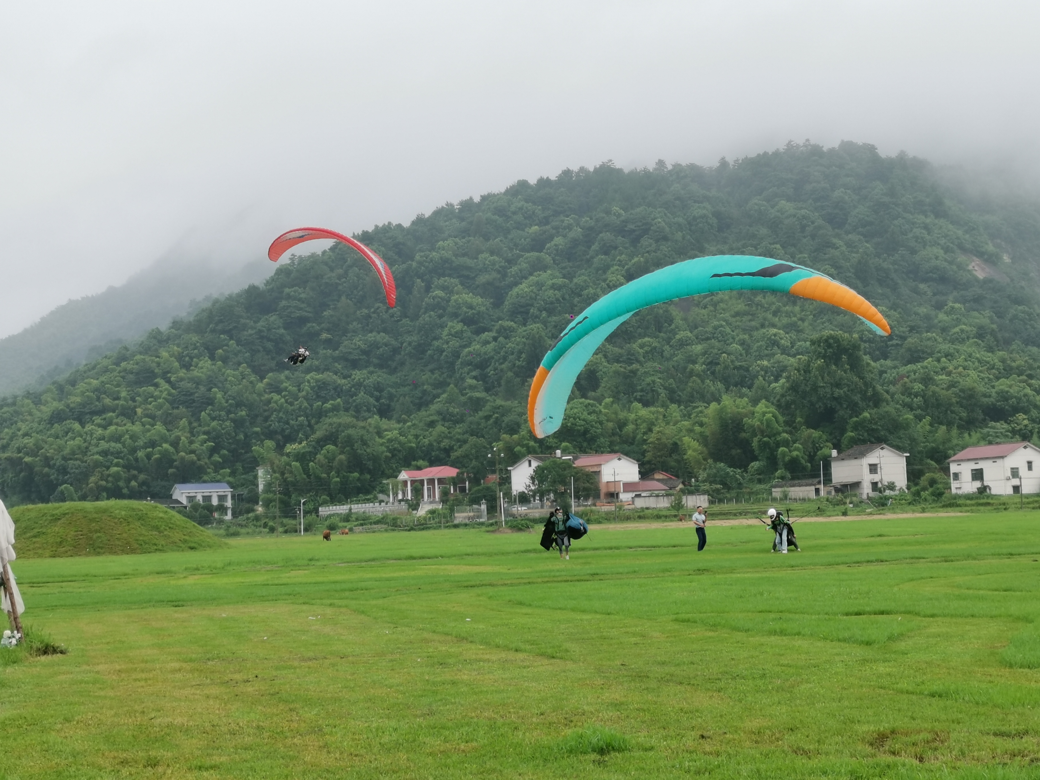 黑麋峰国家森林公园8月14日恢复开放，景区迎来不少游客。 长沙晚报通讯员 谭鑫伟 摄