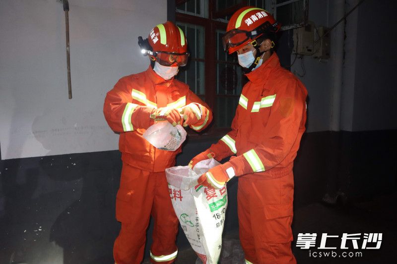 金洲中心消防救援站消防员成功将银环蛇控制，装入袋中。长沙晚报通讯员 熊方圆 供图