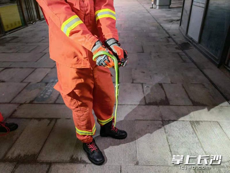 竹叶青蛇被伍家岭消防救援站消防员徒手抓住。长沙晚报通讯员 嵇田利 供图