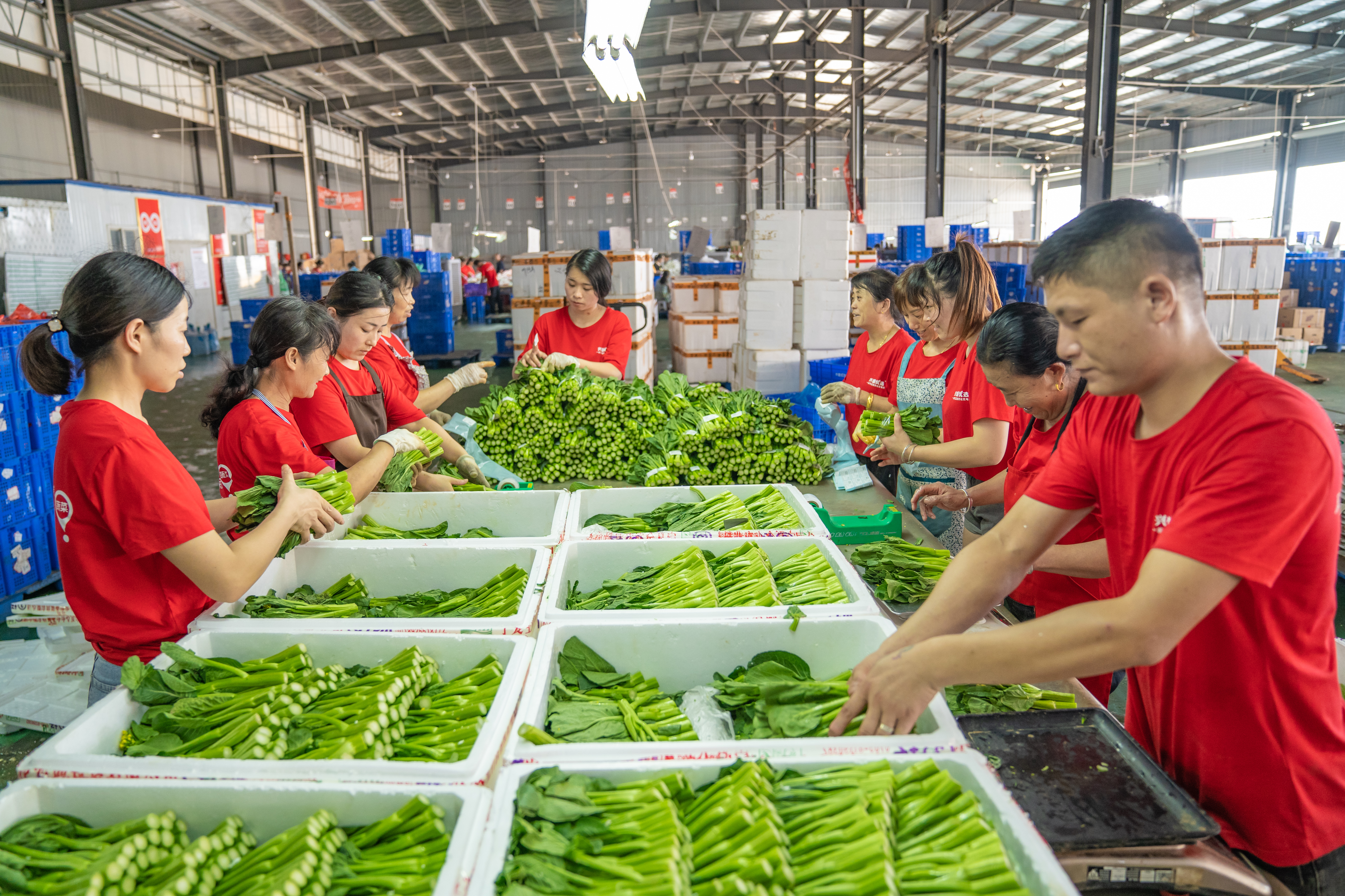 兴盛优选仓库工作人员在对入平台销售食材进行整理。  长沙晚报通讯员  李浩 供图