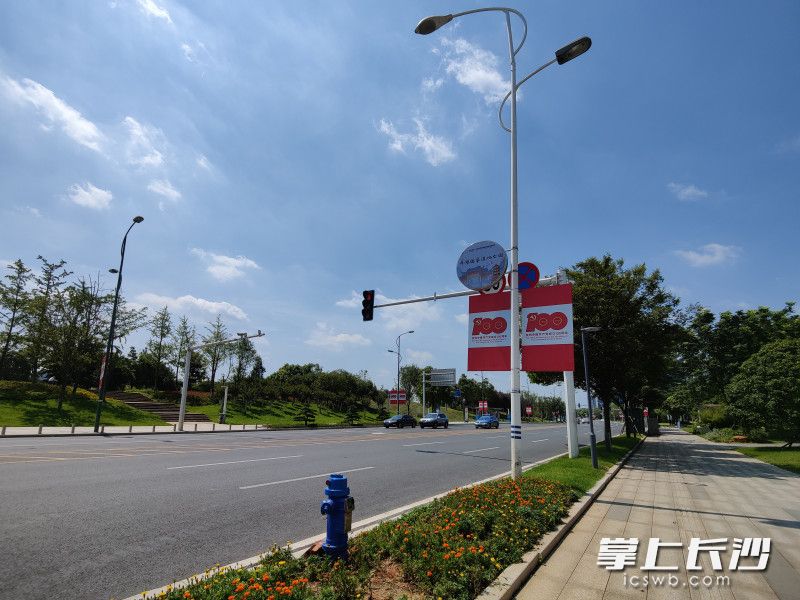 洋湖片区城市环境整治项目改造后的绿化带与人行道。 长沙晚报全媒体记者 易亿 摄