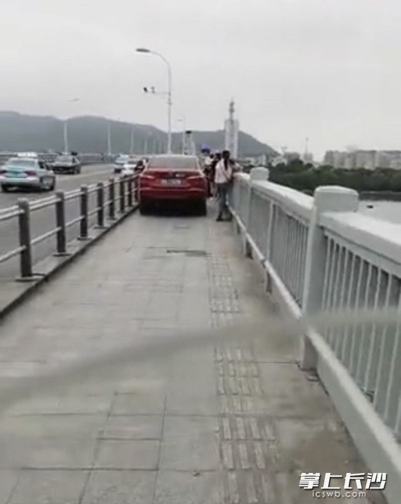 视频截图