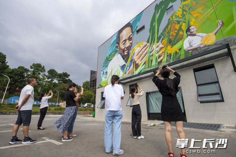 彩绘吸引了不少市民驻足观看，并献上鲜花。