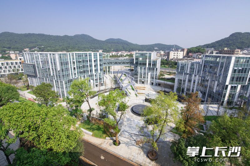 湘江科创基地一期目前共注册企业73家，岳麓山下崛起了一处科创产业新高地。均为湘江集团供图