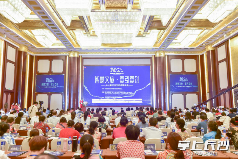“智慧文旅·双引双创”乡村振兴（长沙）品牌峰会在长沙举办。长沙晚报通讯员 小芒供图