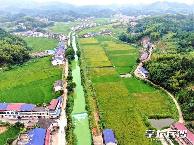 远山如黛，碧水似练，石狮桥村正在绘就乡村振兴的新画卷。长沙晚报全媒体记者 张禹 通讯员 范婷 摄影报道