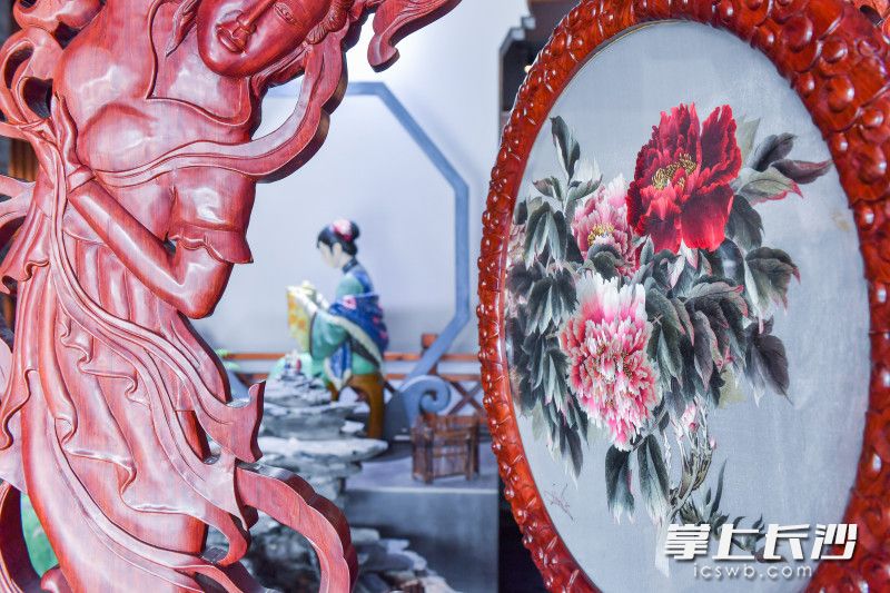 登上“神九”飞船的《国色天香》。均为长沙晚报全媒体记者 邹麟 摄