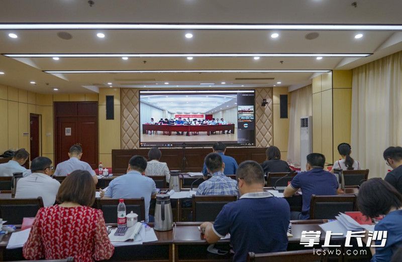 天心区创建全国社区治理和服务创新实验区结项评估视频会议现场。通讯员 刘国永 供图