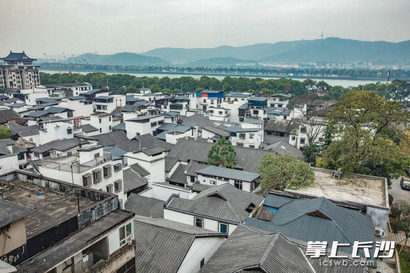 西文庙坪片区，山水洲城四大元素融为一体。资料图片
