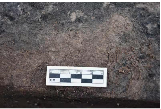 鸡叫城遗址发现五千年前谷糠层。图片均为湖南省考古所供图