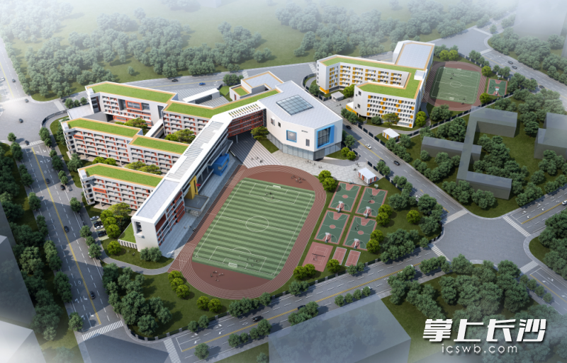 朝阳小学、朝阳中学日景鸟瞰图。