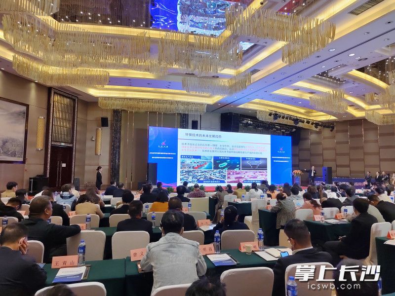 柴立元院士在做主题报告。