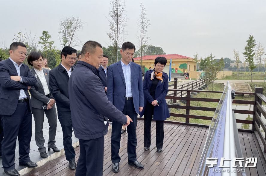 阚保勇对美丽宜居村庄建设项目进行调研。 长沙晚报全媒体记者 唐朝昭 摄