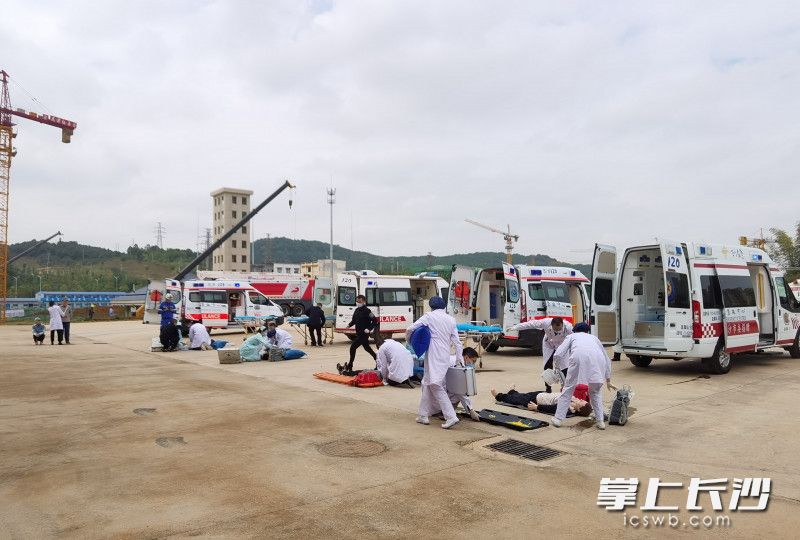 120急救人员对“伤员”进行检伤分类并立即送医治疗。