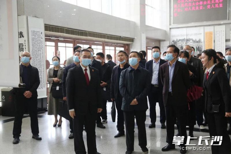 天心区开展“人大代表走进法院零距离监督”活动。通讯员 周智勇 供图