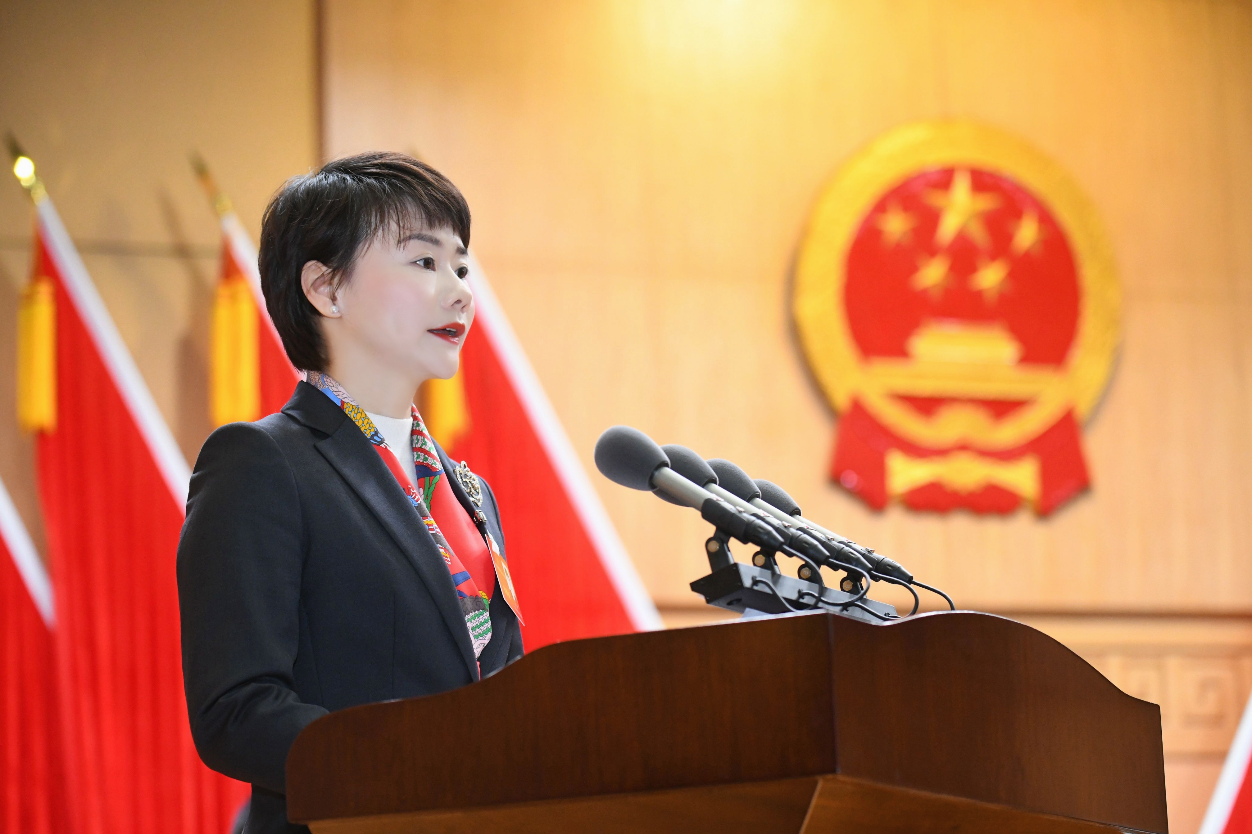 区委副书记、代理区长崔晓代表区人民政府作《政府工作报告》。