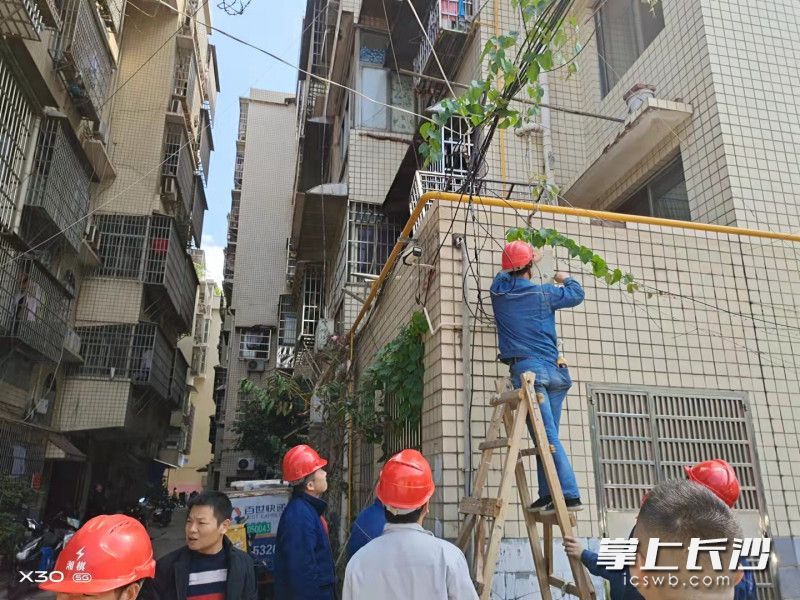 现场，工作人员对线路进行逐一排查，清除隐患。