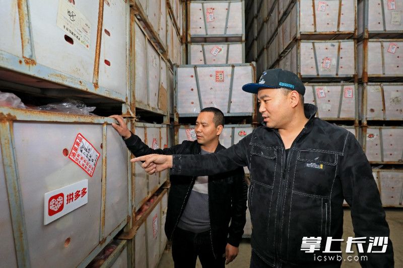 ▲在洛川的冷库中,李楠要求每一框入库的苹果都要严选品质,甚至对采购、果农和司机都进行了溯源。(李云丰 摄) ▲在洛川的冷库中,李楠要求每一框入库的苹果都要严选品质,甚至对采购、果农和司机都进行了溯源。(李云丰 摄)