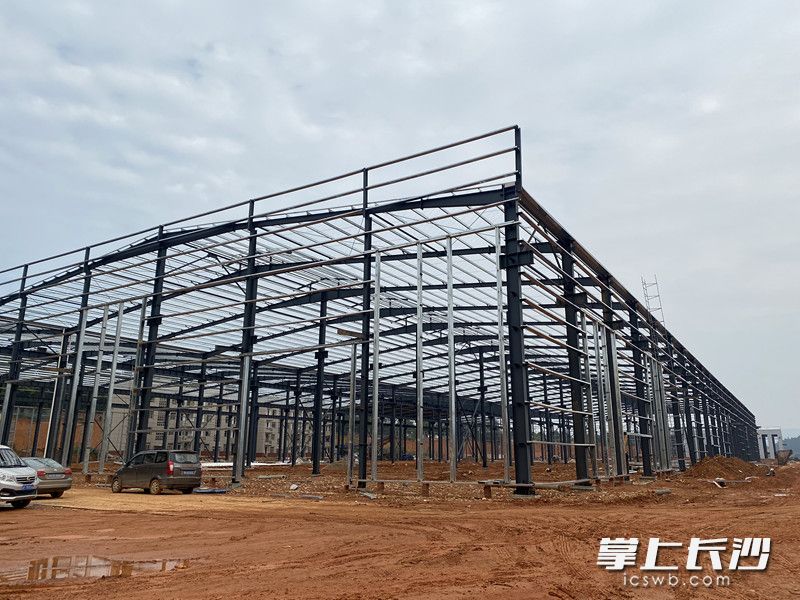 丰收公司厂房建设现场。均为受访者供图