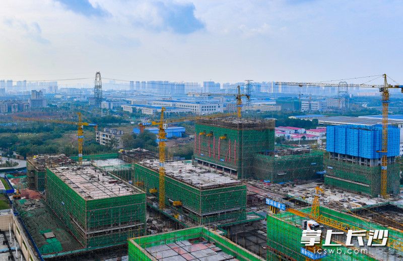 湖南省最大规模公租房长沙经开区英萃园员工小区二期正在如火如荼的建设中。长沙晚报全媒体记者 邹麟 摄