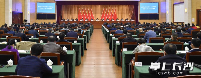 会议现场。以上照片均由长沙晚报全媒体记者 余劭劼 摄