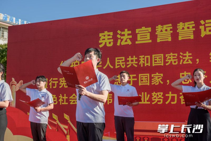 法治联盟12所高校普法志愿者现场进行宪法宣誓 均为全媒体记者 陈飞 摄