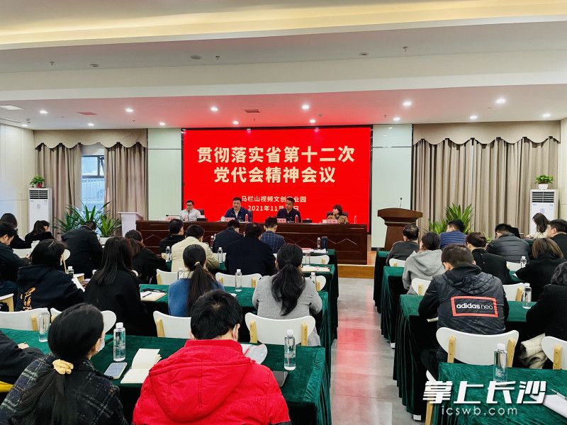 马栏山园区干部职工和青年创客党员代表学习传达贯彻省党代会报告精神。 长沙晚报全媒体记者 李卓摄