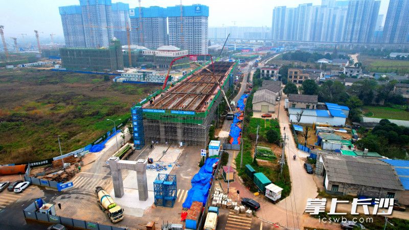 12月2日，金桂路跨浏阳河大桥项目完成南引桥第一联和第四联底板腹板浇筑，正式进入上部结构施工阶段。均为长沙晚报全媒体记者 陈焕明 通讯员 黄钰雯 摄影报道
