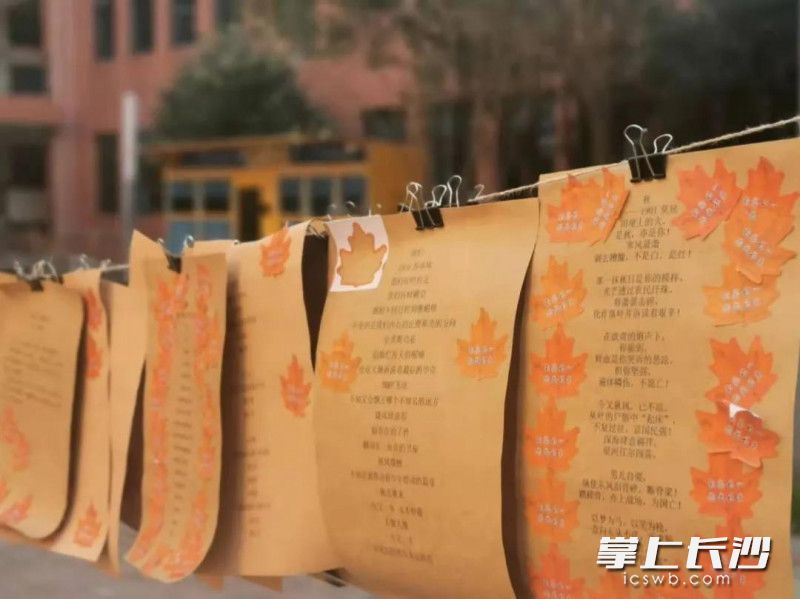 西雅中学九年级语文组进行作业创新设计，开展了“秋雨润心，诗歌传情”诗歌创作活动。长沙晚报通讯员 刘芷伶 摄